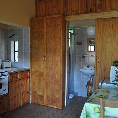 Kierie Kwaak Self Catering Villa Stellenbosch Eksteriør billede