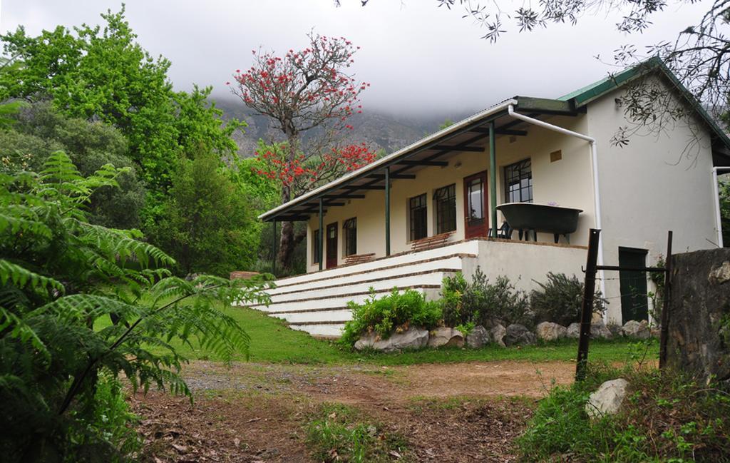 Kierie Kwaak Self Catering Villa Stellenbosch Eksteriør billede