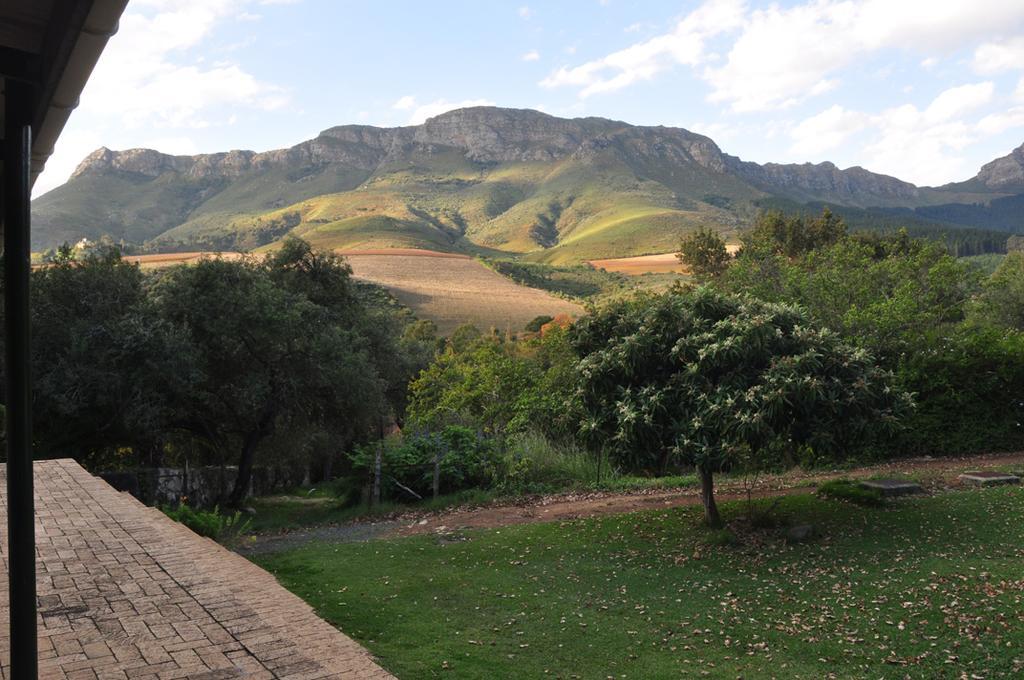 Kierie Kwaak Self Catering Villa Stellenbosch Eksteriør billede