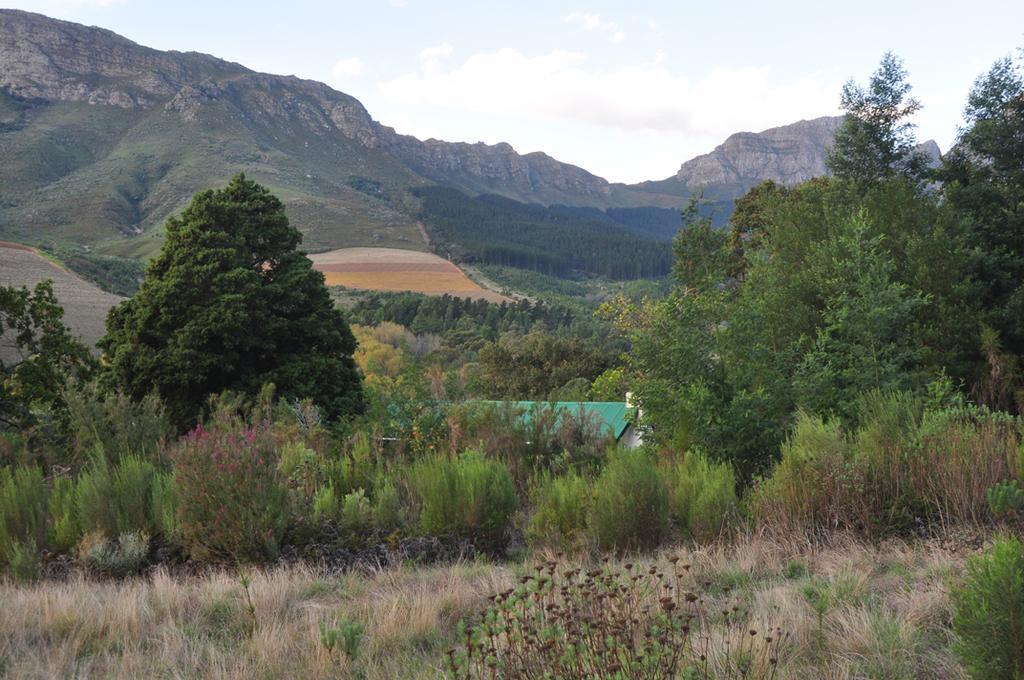 Kierie Kwaak Self Catering Villa Stellenbosch Eksteriør billede
