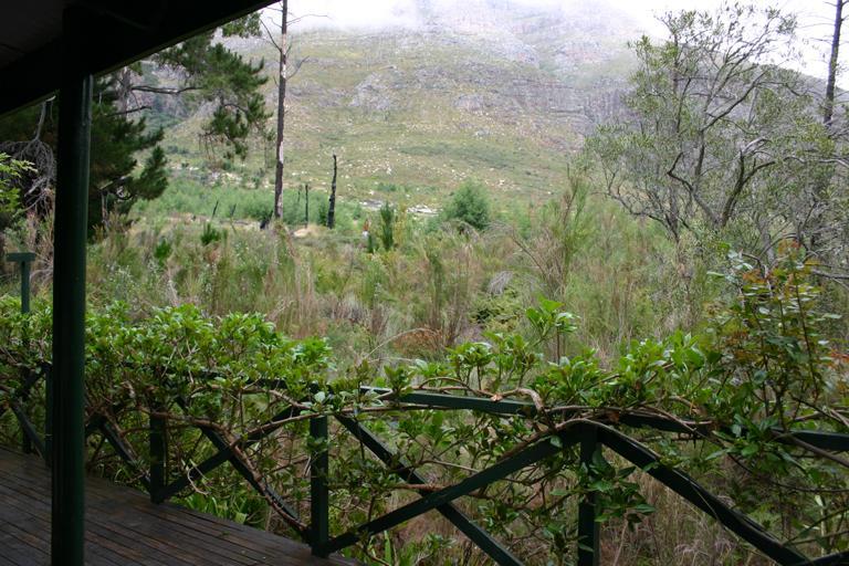 Kierie Kwaak Self Catering Villa Stellenbosch Eksteriør billede